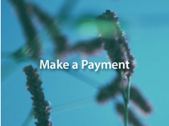 Make a Payment