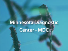 Minnesota Diagnostic Center - MDC