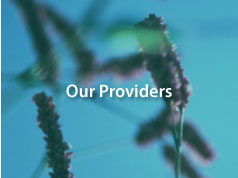Our Providers